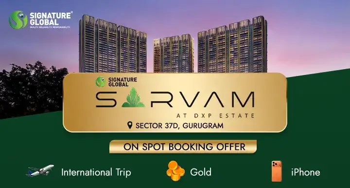 Modern Minimalist Living Room